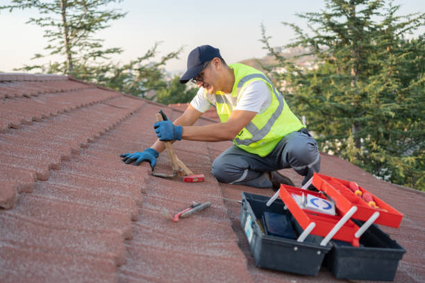 Best Roof Leak Repair  in Mantachie, MS